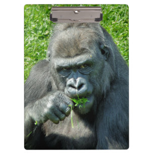 GORILLAS CLIPBOARD