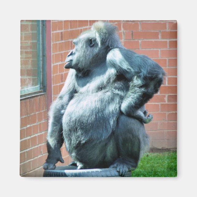 GORILLAS MAGNET (Front)
