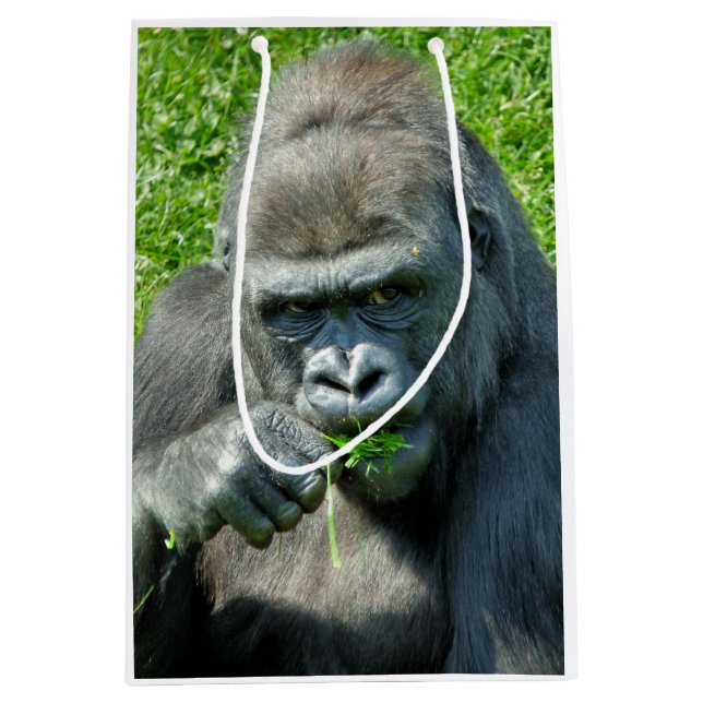GORILLAS MEDIUM GIFT BAG (Front)