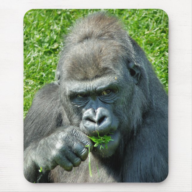 GORILLAS MOUSE PAD (Front)