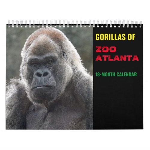 Gorillas of Zoo Atlanta 2022 Calendar 18_month