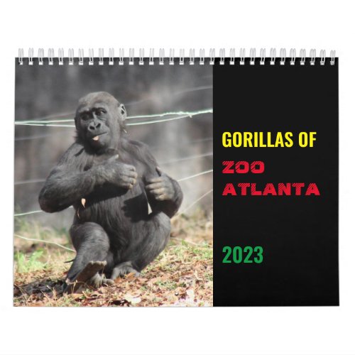 Gorillas of Zoo Atlanta 2023 Calendar