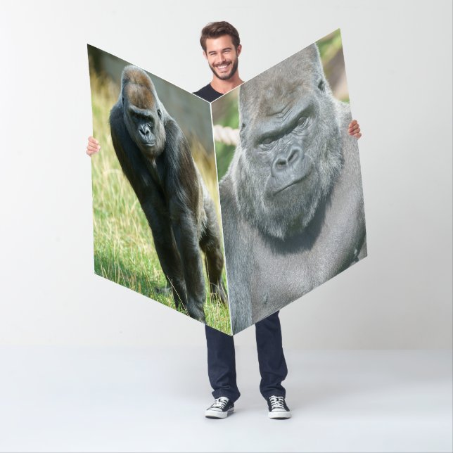 Gorillas Oumbi, Ozala, Lope and Shufai Card (In Situ)