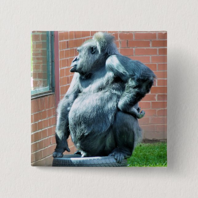 GORILLAS PINBACK BUTTON (Front)