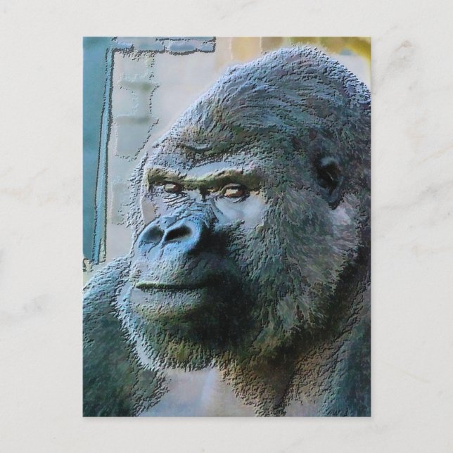 GORILLAS POSTCARD (Front)