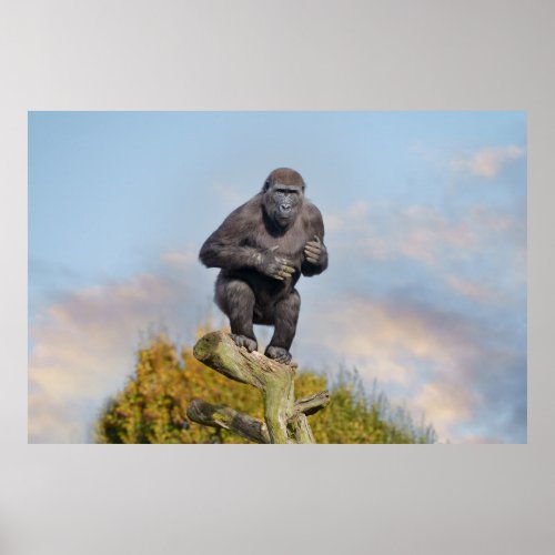 Gorillas Tree_Balancing Act Poster