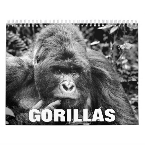 Gorillas Wall Calendar