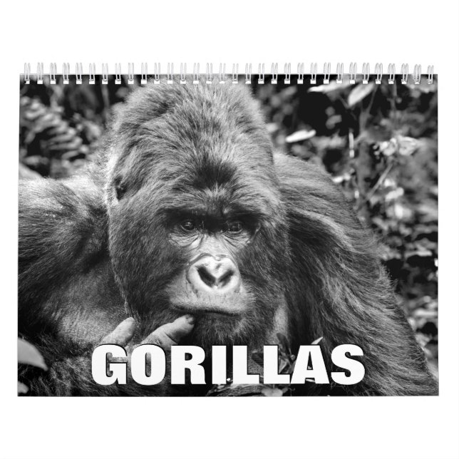 Gorillas Wall Calendar (Cover)