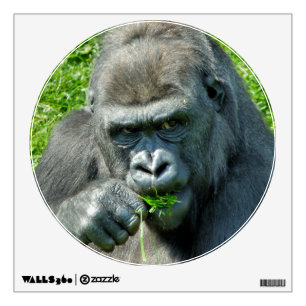 GORILLAS WALL DECAL