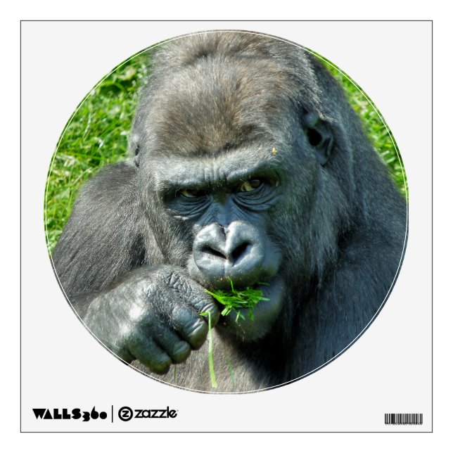 GORILLAS WALL DECAL (Front)