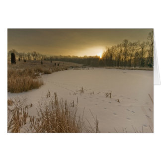 Gorman Winter Sunrise Cards