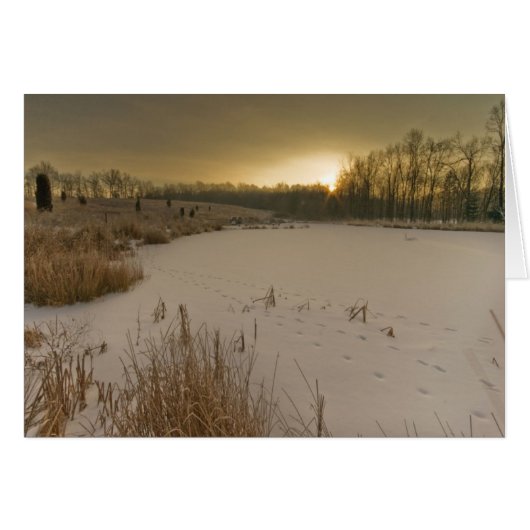 Gorman Winter Sunrise Cards (Front Horizontal)