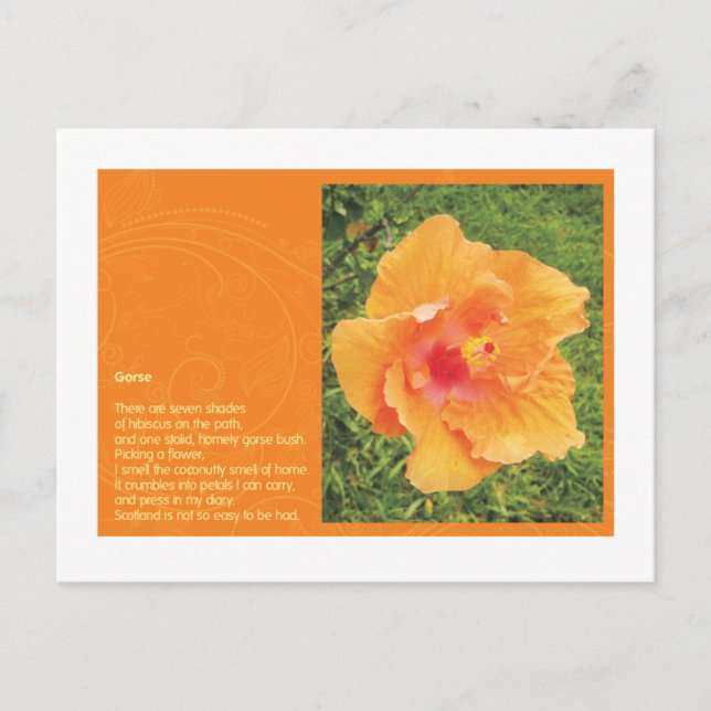 Gorse Postcard (Front)