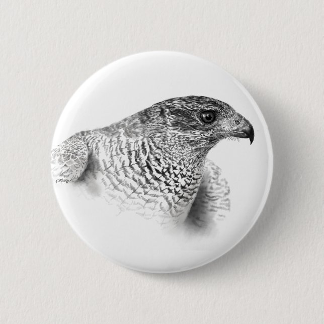Goshawk Drawing Pinback Button (Front)