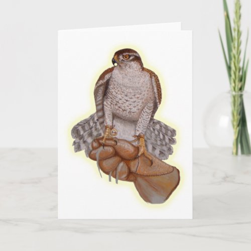 Goshawk Greeting Card Card