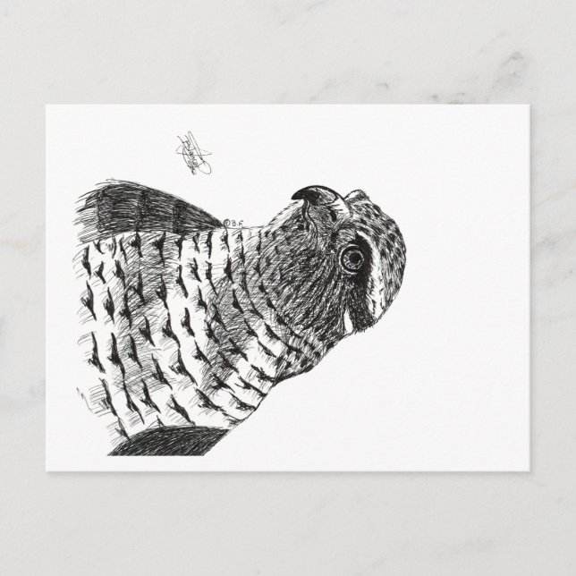 GOSHAWK HOLIDAY POSTCARD (Front)