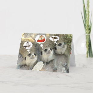 Goshawk? Holy! Eagle? - Seasons Greetings Holiday Card