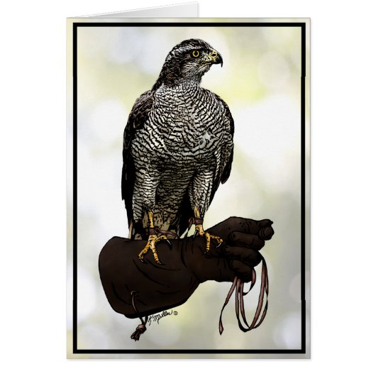 Goshawk on Glove Cards (Front)