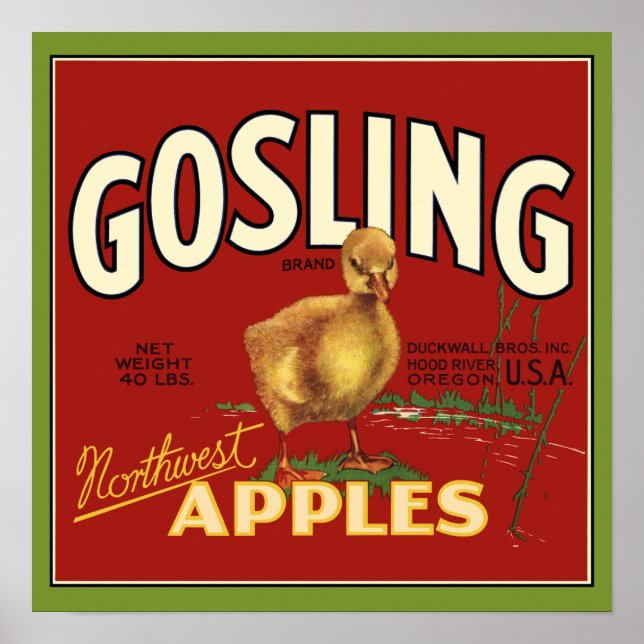 Gosling Baby Goose Apple Crate Label Poster (Front)