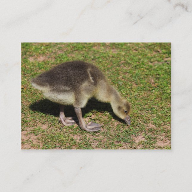 Gosling Business Card (Front)