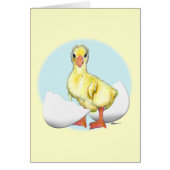 Gosling:  Just Hatched (Front)