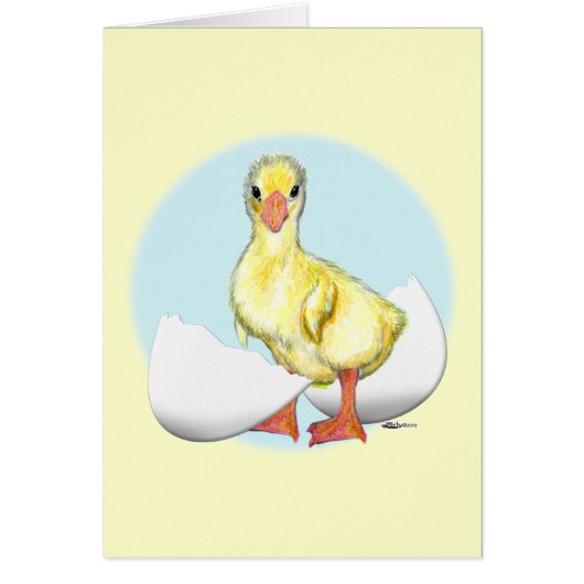 Gosling: Just Hatched Cards (Front)