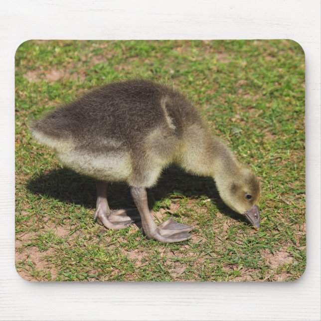 Gosling Mouse Pad (Front)