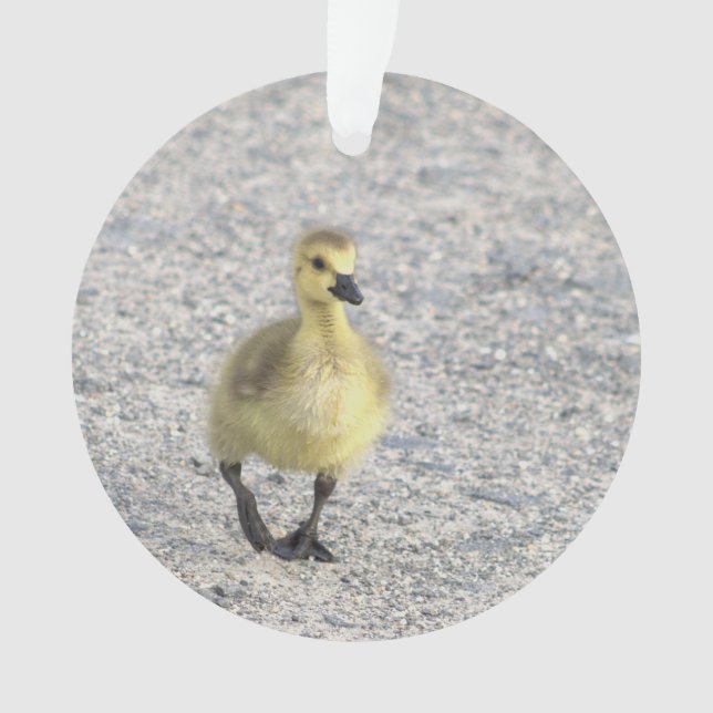 Gosling Photo Ornament  (Front)