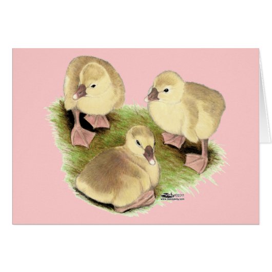 Goslings:  Buff African Cards (Front Horizontal)