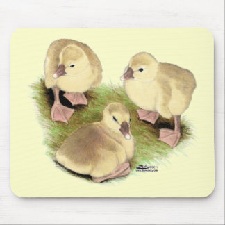 Goslings: Buff African Mouse Pad