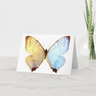 Gossamer Blue Butterfly Wings Note Birthday Card