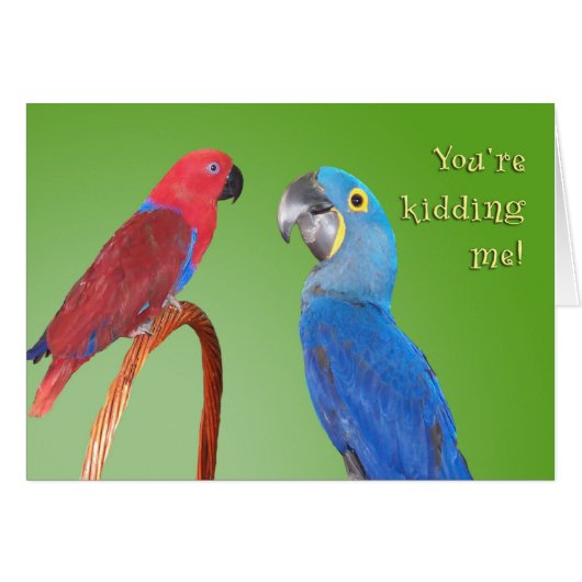 Gossip (Front Horizontal)