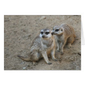 Gossip Card (Front Horizontal)