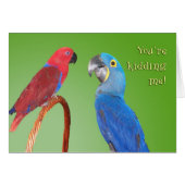 Gossip Cards (Front Horizontal)