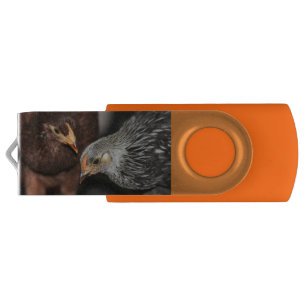 Gossip time USB flash drive