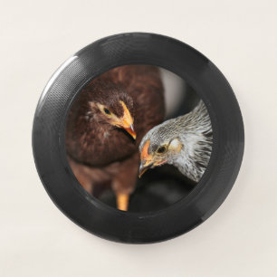 Gossip time Wham-O frisbee