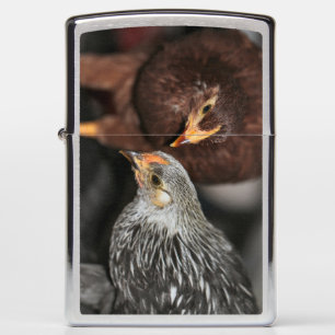 Gossip time zippo lighter