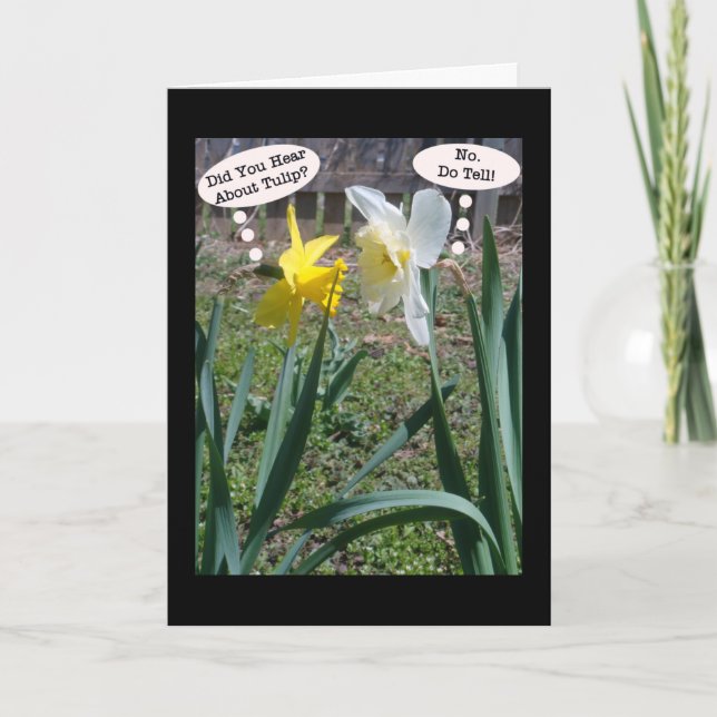 Gossiping Daffies Friendship Greeting Card (Front)