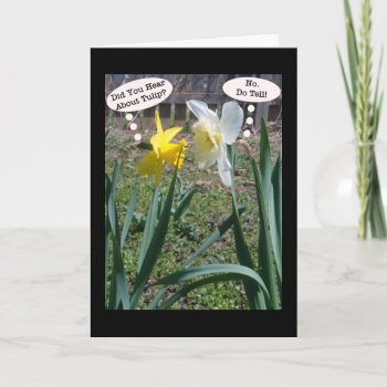 Gossiping Daffies Friendship Greeting Card by time2see at Zazzle