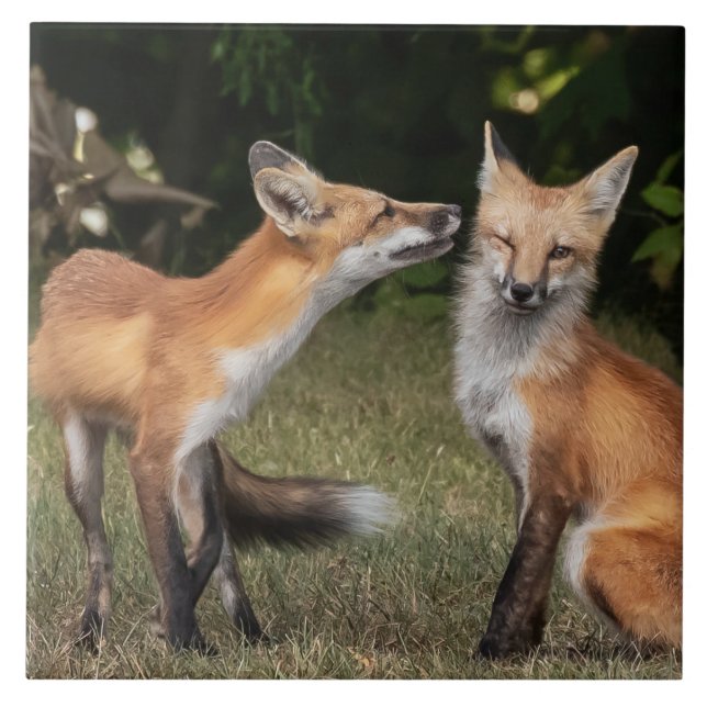 Got A Mint? Ceramic Tile (Front)