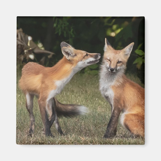 Got A Mint? Magnet (Front)