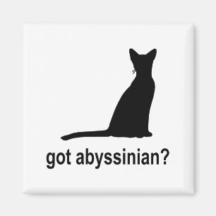 Got Abyssinian? Magnet