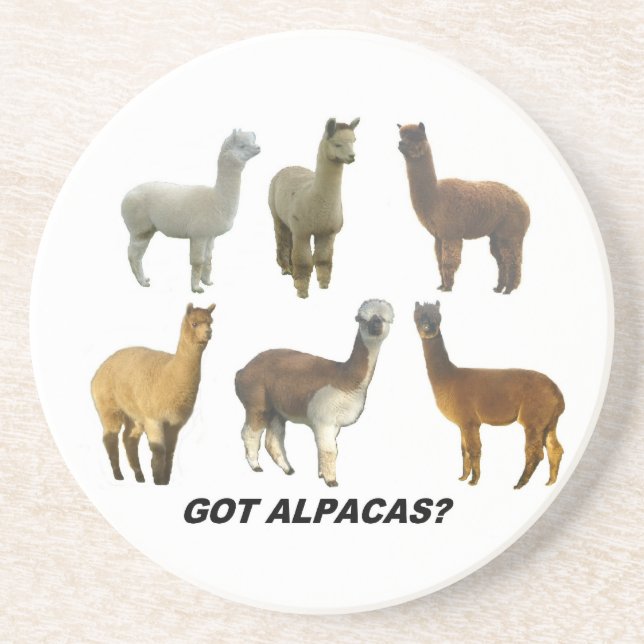 Got alpacas? drink coaster (Front)