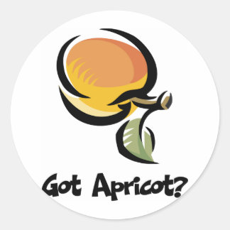 Got Apricot Classic Round Sticker