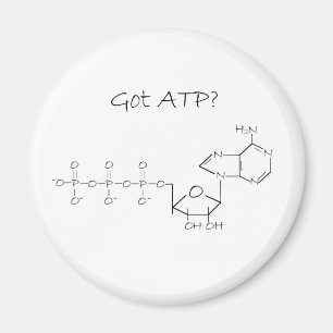 Got ATP? Magnet