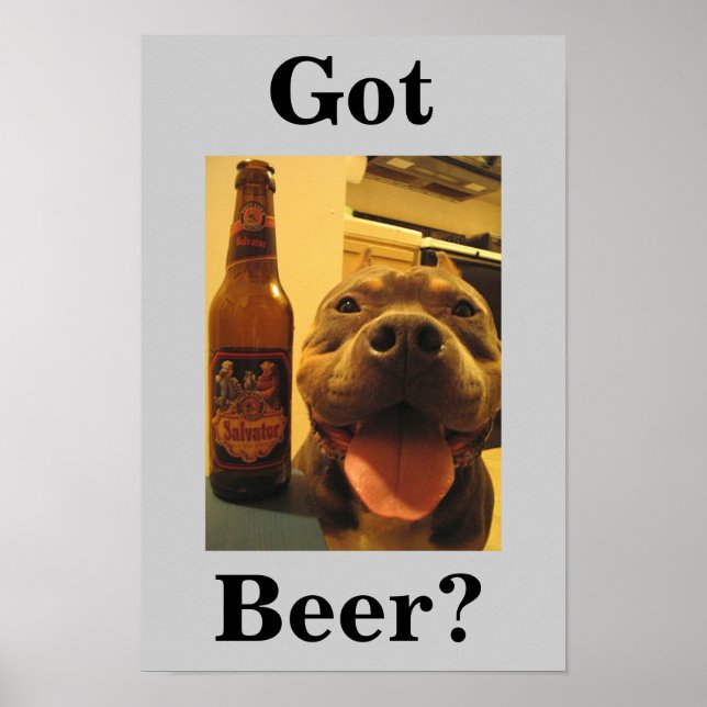 Got Beer? Poster (Front)