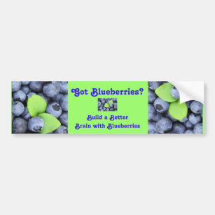 Got Blueberries? Bumper Sticker