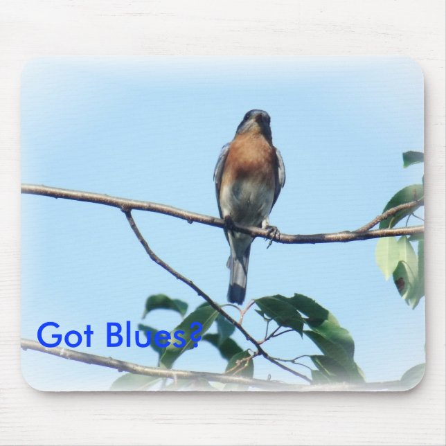 Got Blues mouse pad (Front)
