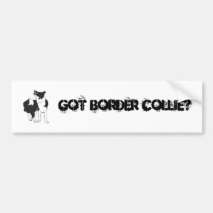 GOT BORDER COLLIE? BUMPER STICKER
