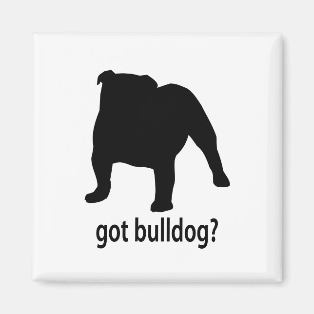 Got Bulldog Magnet (Front)